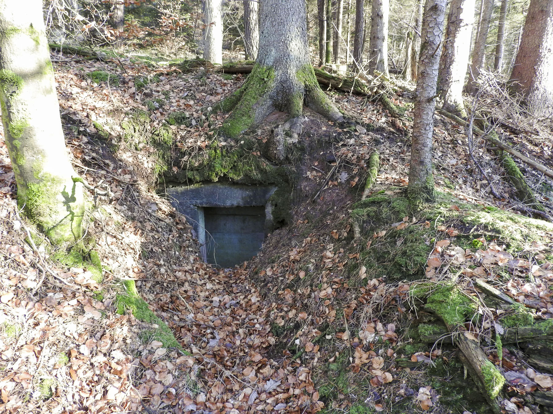 Ligne Maginot - HANAU CENTRE 2 - (PC de Sous-Quartier) - L'entrée de l'abri bétonné. - STENGER Mathieu