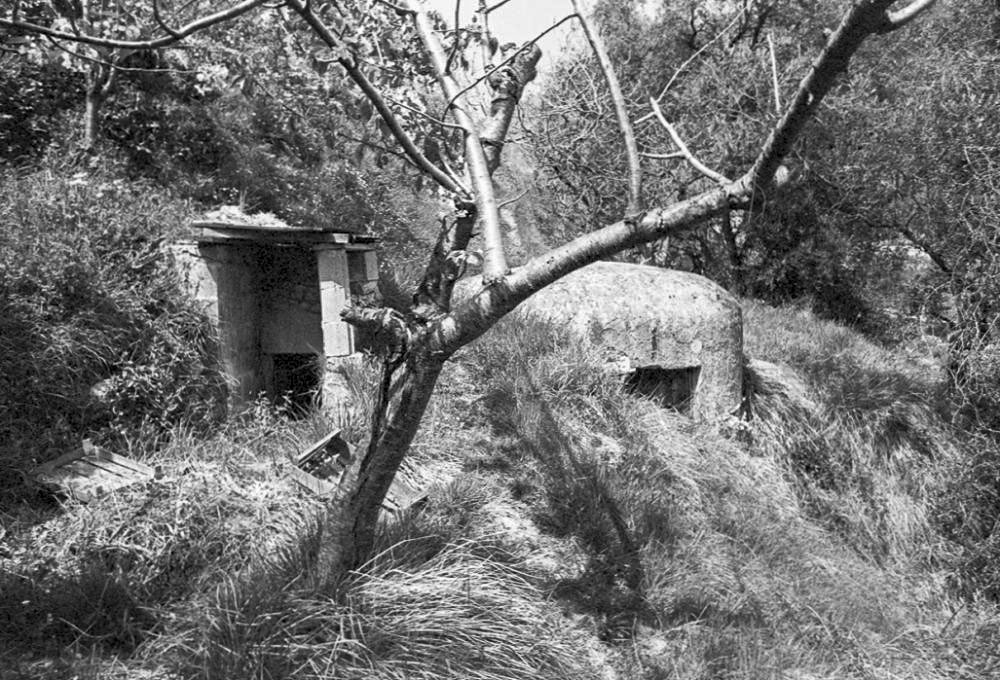 Ligne Maginot - PA DE CASTELLAR 2 - (Blockhaus pour arme infanterie) -  - LOVINY Alain