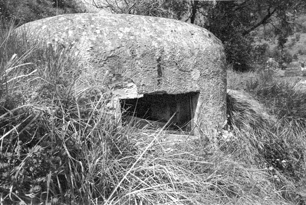Ligne Maginot - PA DE CASTELLAR 2 - (Blockhaus pour arme infanterie) -  - LOVINY Alain