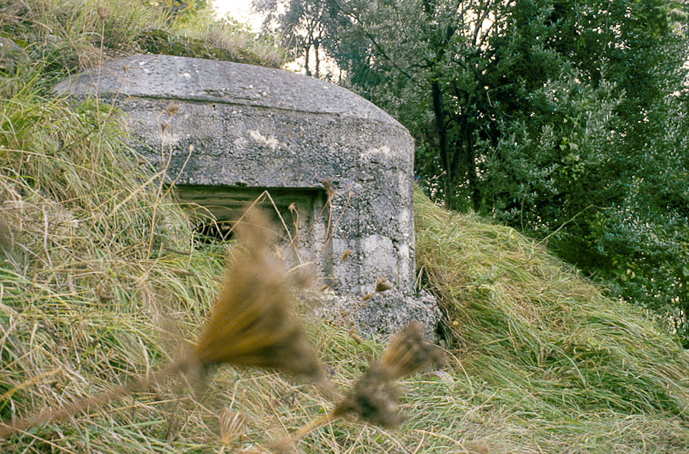 Ligne Maginot - PA DE CASTELLAR 3 - (Blockhaus pour arme infanterie) -  - LOVINY Alain
