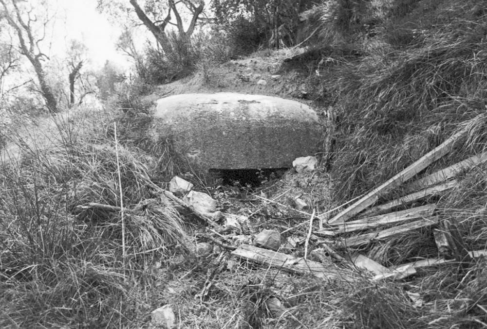 Ligne Maginot - PA DE CASTELLAR 3 - (Blockhaus pour arme infanterie) -  - LOVINY Alain