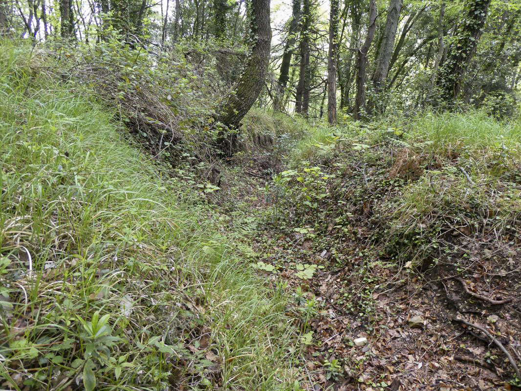 Ligne Maginot - PAS DE LA PIASTRE (POINT D'APPUI) - (Divers) -  - ELLENA - CUNY