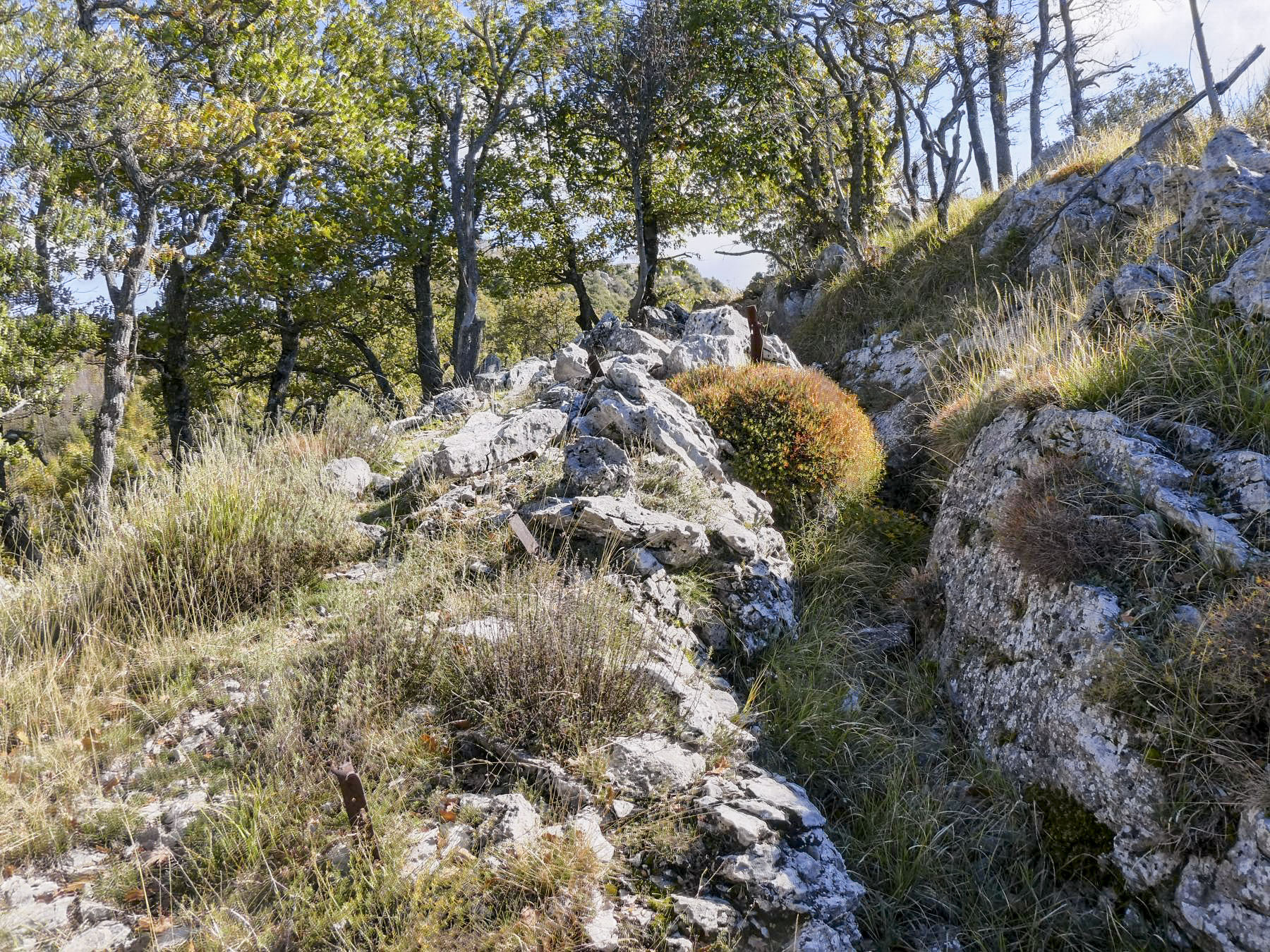 Ligne Maginot - PIC DE GARUCHE - (Blockhaus pour arme infanterie) - Tranchée d'accès - ELLENA - CUNY