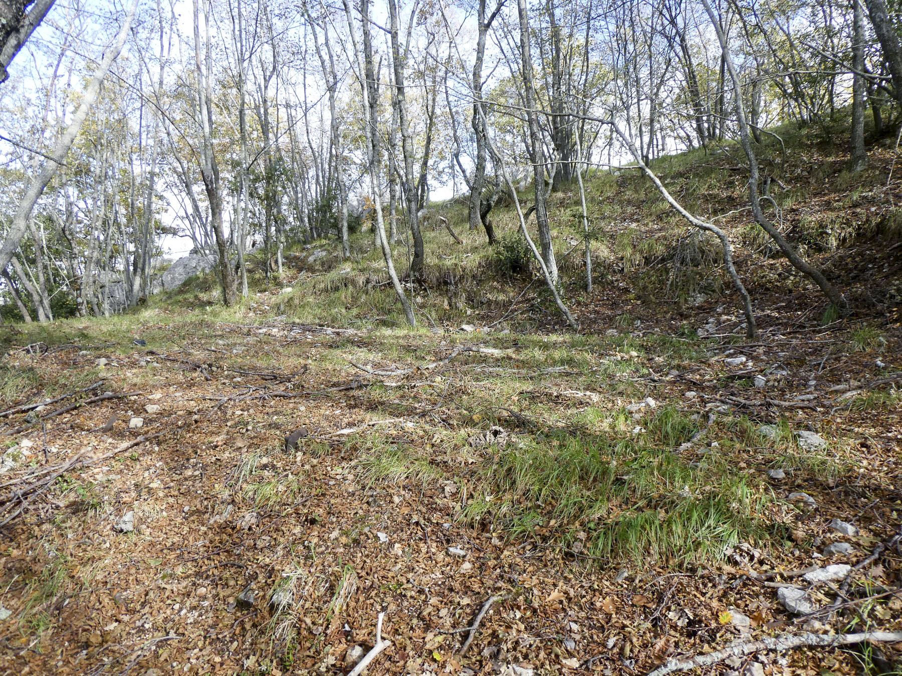 Ligne Maginot - PIC DE GARUCHE - (Abri) - Terrassement  - ELLENA - CUNY