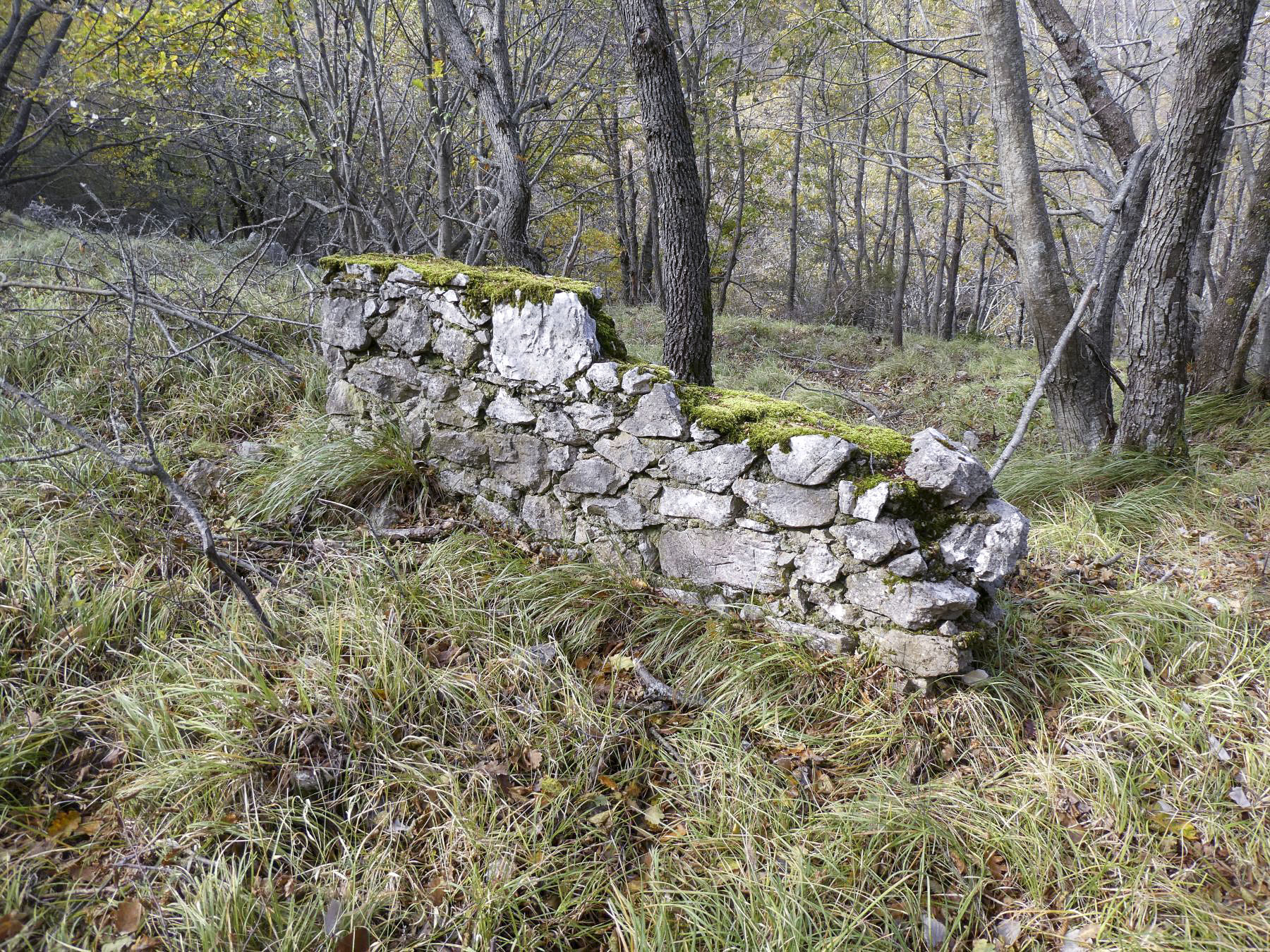 Ligne Maginot - PIC DE GARUCHE - (Abri) -  - ELLENA - CUNY