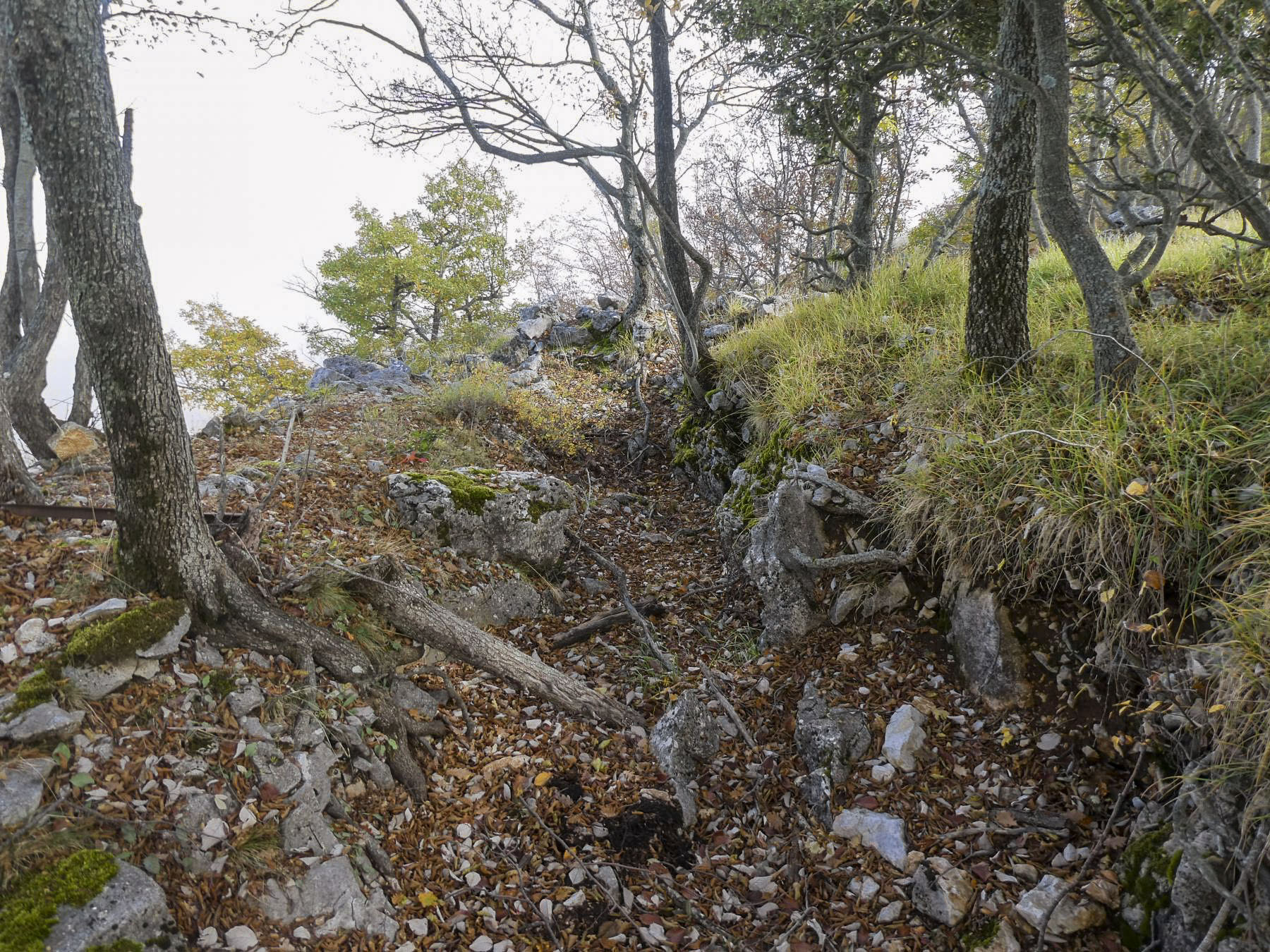 Ligne Maginot - PIC DE GARUCHE - (Abri) - Défenses à proximité - ELLENA - CUNY