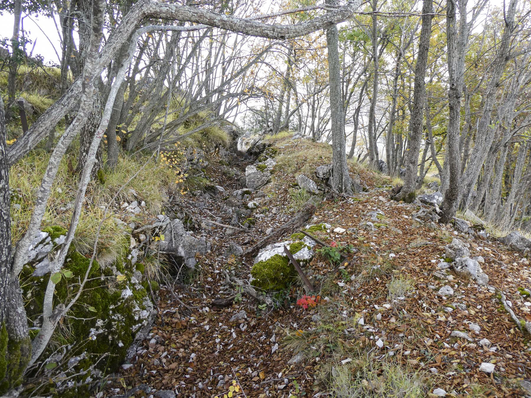 Ligne Maginot - PIC DE GARUCHE - (Abri) - Défenses à proximité - ELLENA - CUNY