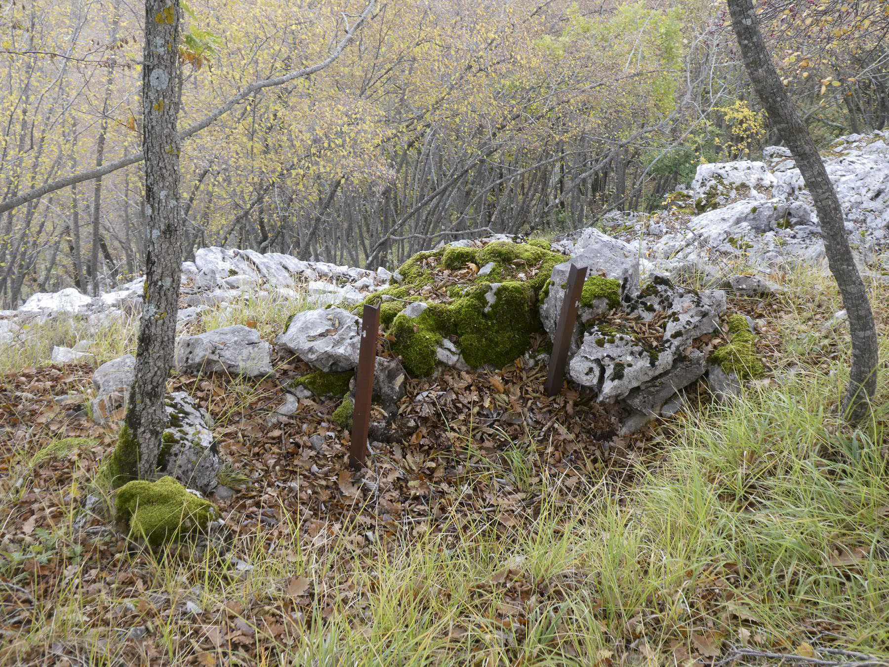 Ligne Maginot - PIC DE GARUCHE - (Abri) - Défenses à proximité - ELLENA - CUNY