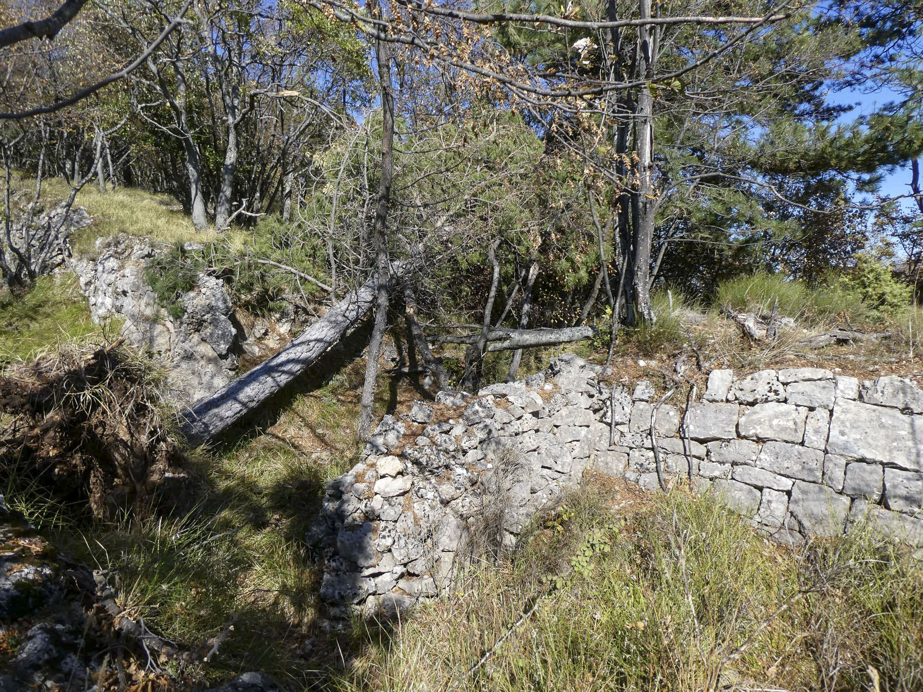 Ligne Maginot - PIC DE GARUCHE 3 - (Cuve pour arme d'infanterie) - Cuve 1
Départ de la tranchée qui mène à la cuve, avec rajout d'un mur de protection en pierres sèches. - ELLENA - CUNY