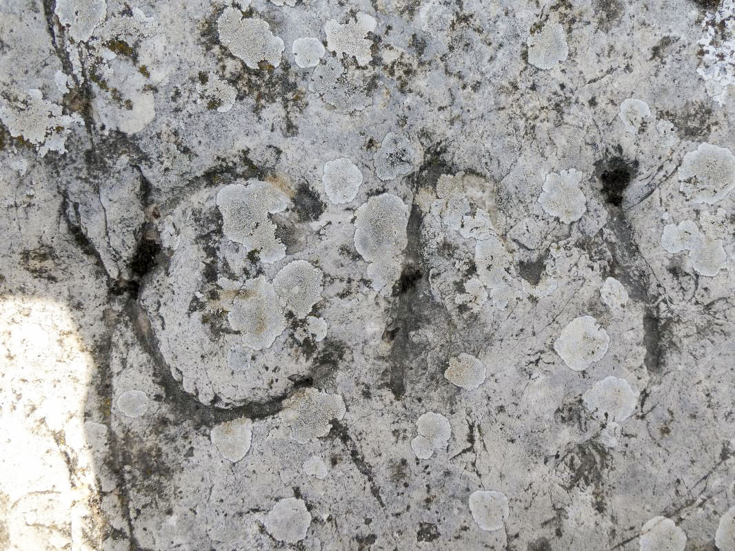 Ligne Maginot - PIERRE POINTUE - C2 - (Cuve pour arme d'infanterie) -  - ELLENA - CUNY