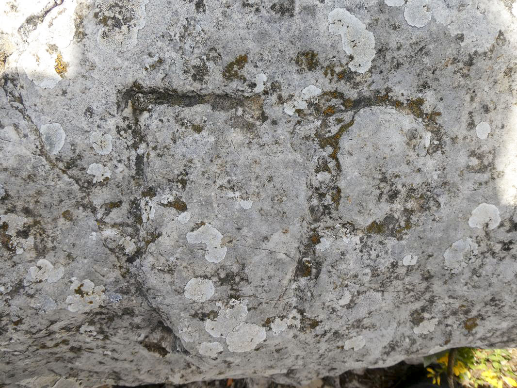 Ligne Maginot - PIERRE POINTUE - C2 - (Cuve pour arme d'infanterie) -  - ELLENA - CUNY