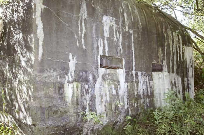 Ligne Maginot - B20 - LYON - (Blockhaus pour arme infanterie) -  - Jean PUELINCKX