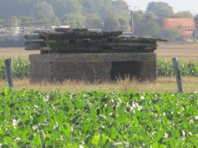 Ligne Maginot - B116 - STEENVOORDE SUD-EST - (Blockhaus pour arme infanterie) -  - Smardz Félix