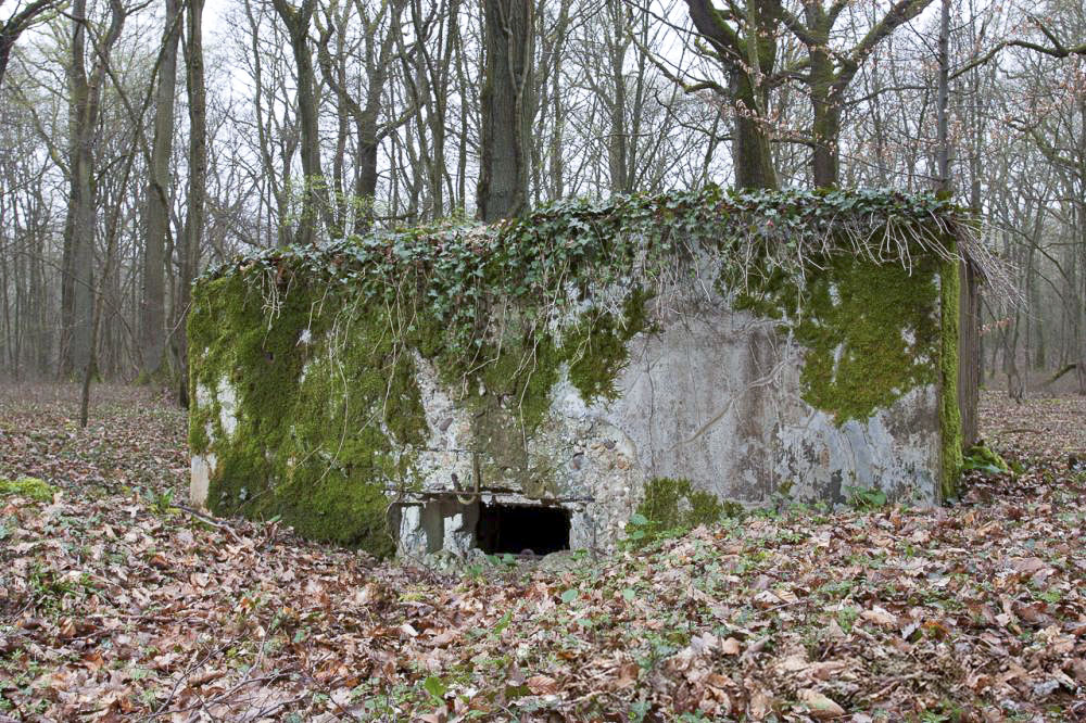 Ligne Maginot - KANFENER BUSCH 5 - (Blockhaus pour arme infanterie) -  - www.arnaultjl-photo.com