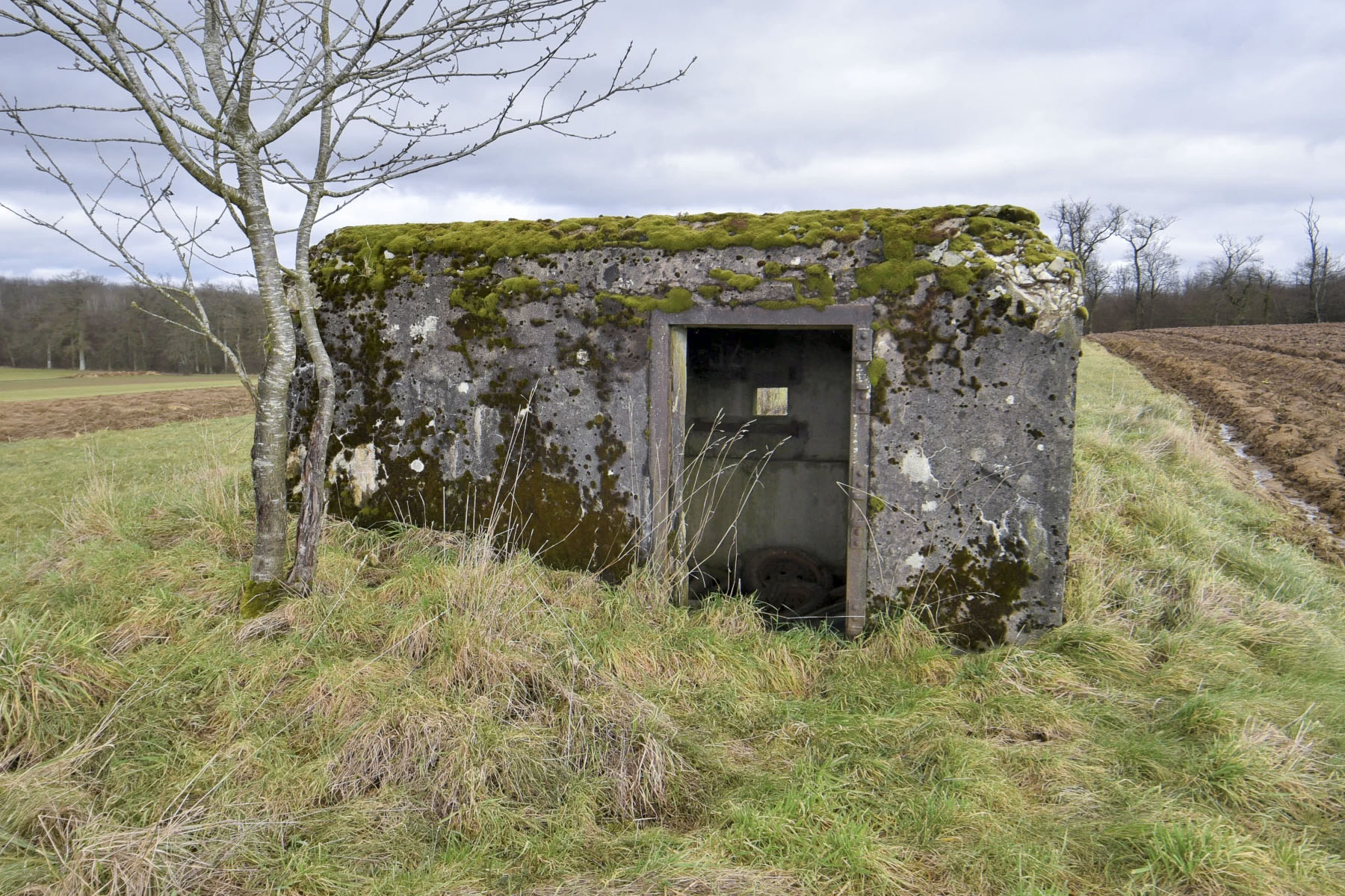 Ligne Maginot - ANDELSBERG 2 - (Blockhaus pour arme infanterie) -  - Ludovic KNAPP