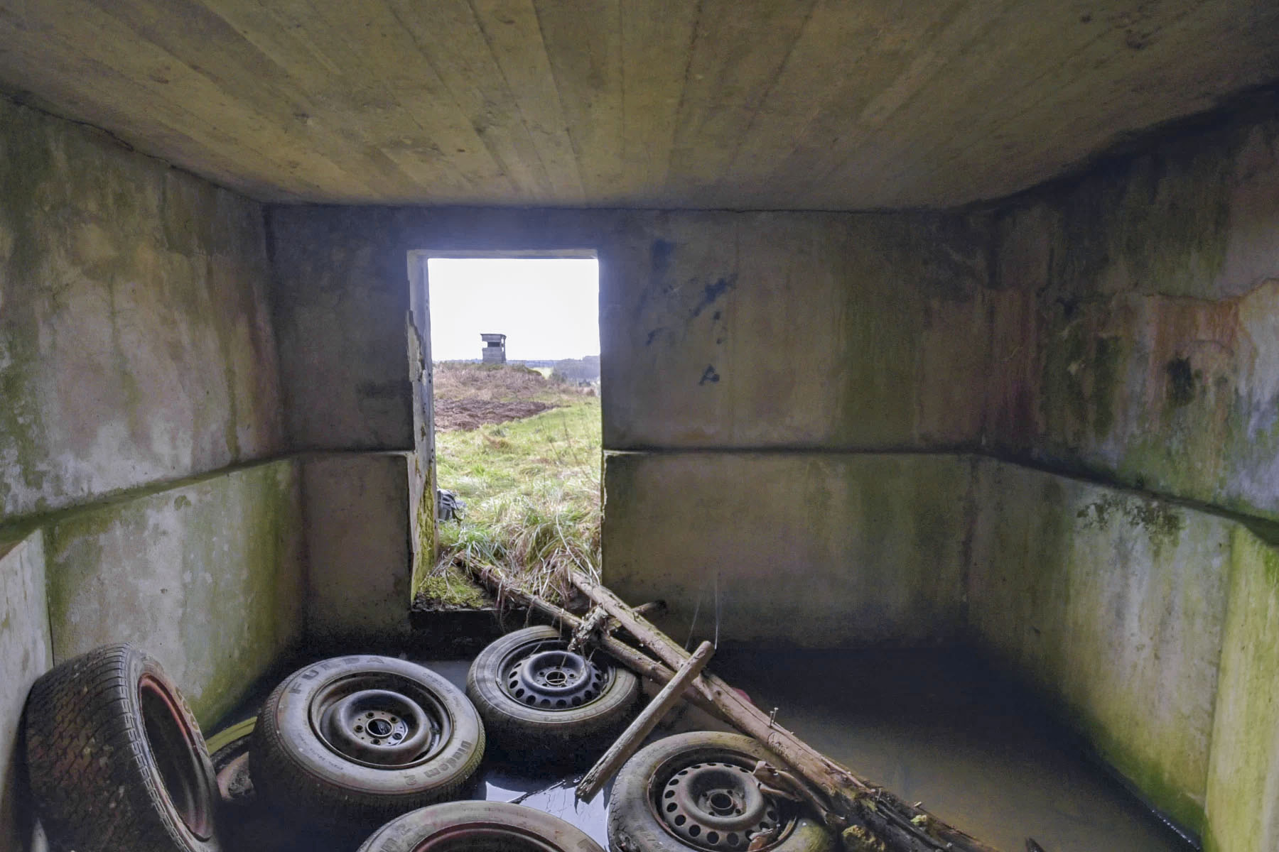 Ligne Maginot - ANDELSBERG 2 - (Blockhaus pour arme infanterie) -  - Ludovic KNAPP