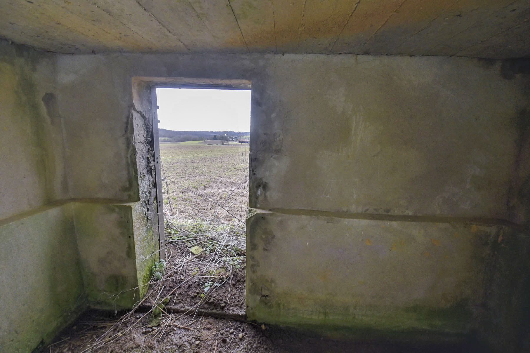 Ligne Maginot - ANDELSBERG 3 - (Blockhaus pour arme infanterie) -  - Ludovic KNAPP
