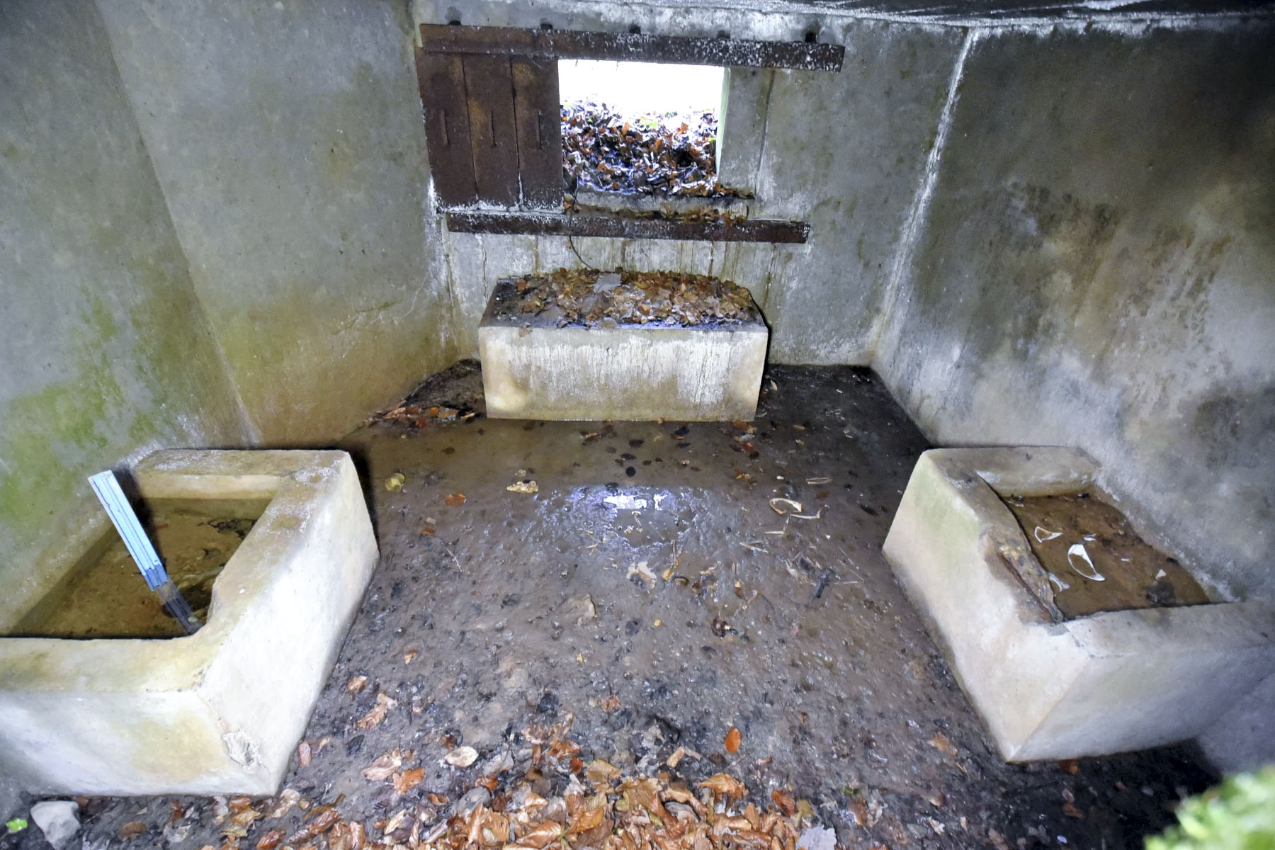 Ligne Maginot - KUHBRUCK OUEST - (Blockhaus pour canon) -  - Ludovic KNAPP