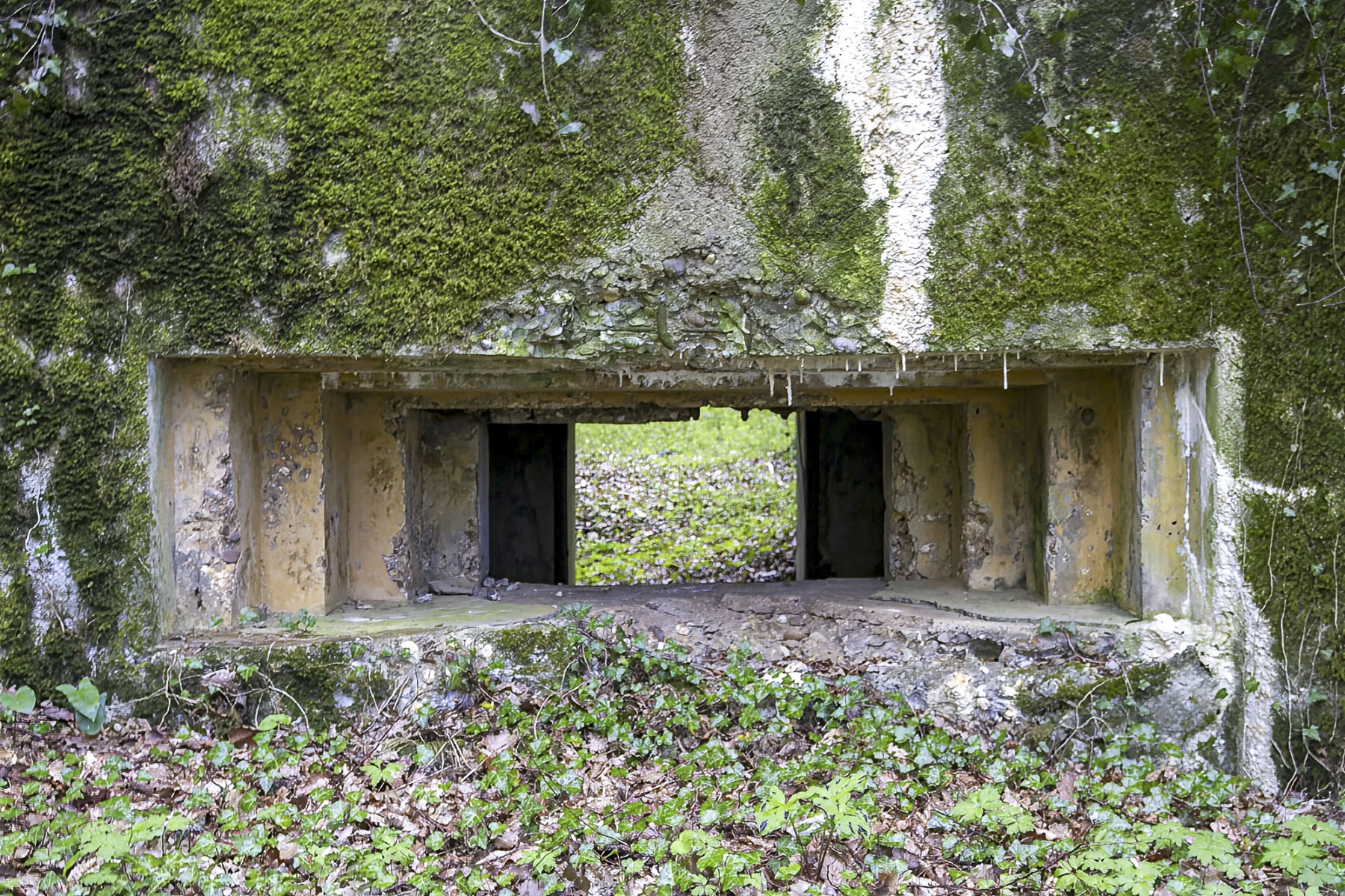 Ligne Maginot - CB302 - KANFENER BUSCH 6 - (Blockhaus pour canon) -  - Michel Teiten
