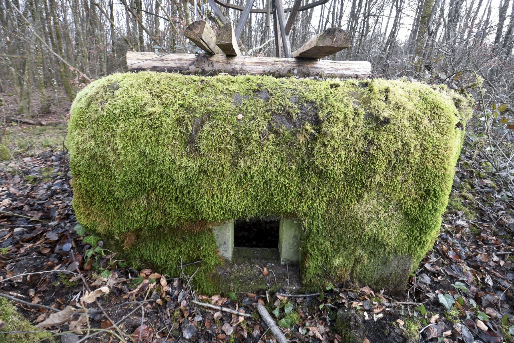 Ligne Maginot - LIES 3 - (Blockhaus pour arme infanterie) -  - Ludovic KNAPP