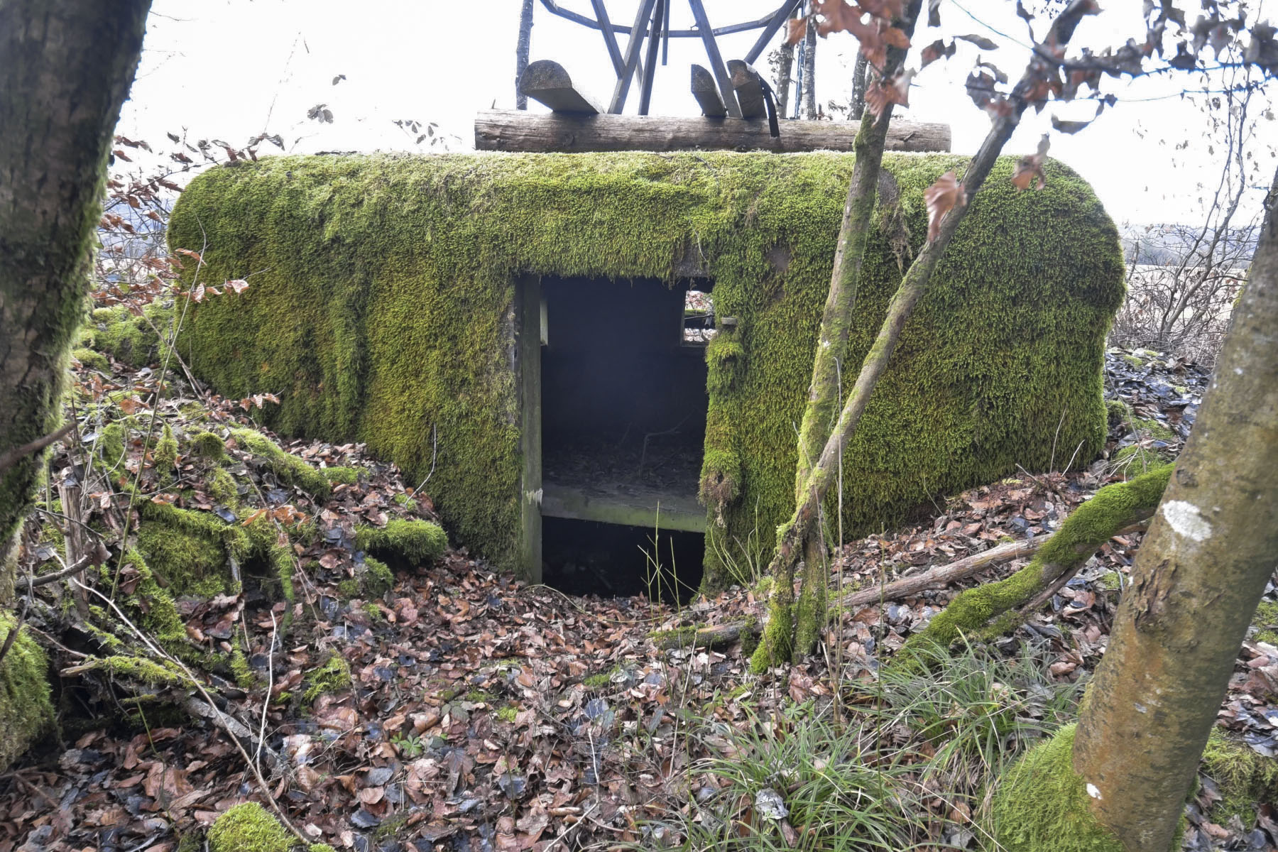 Ligne Maginot - LIES 3 - (Blockhaus pour arme infanterie) -  - Ludovic KNAPP