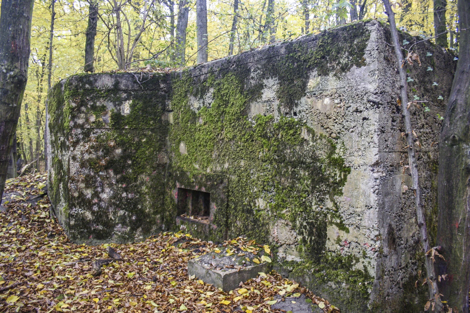 Ligne Maginot - CB219 - MEIEREI 2 - (Blockhaus pour arme infanterie) -  - Michel Teiten