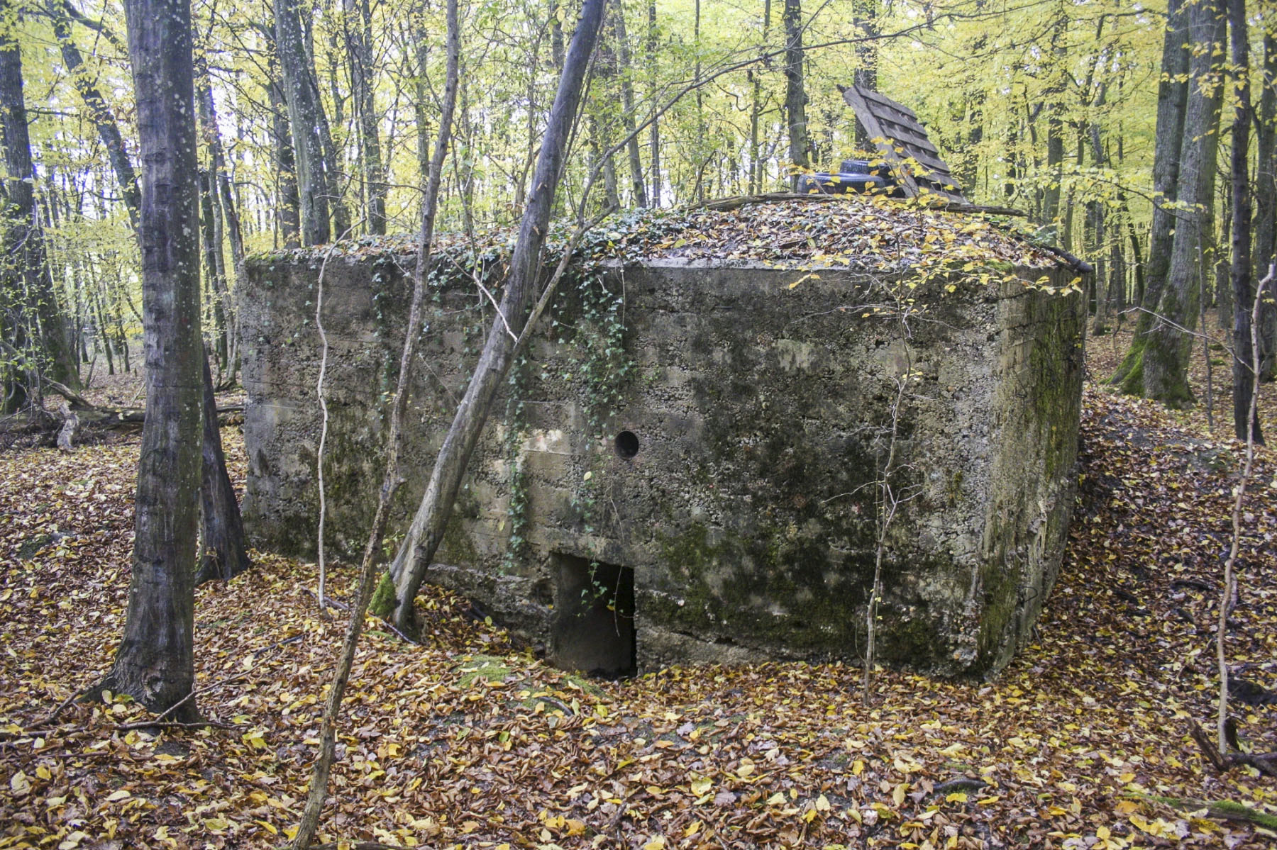 Ligne Maginot - CB219 - MEIEREI 2 - (Blockhaus pour arme infanterie) -  - Michel Teiten
