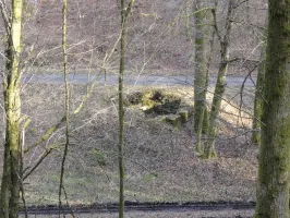 Ligne Maginot - KANDELBERG SUD - (Blockhaus pour arme infanterie) - La cuve vue depuis la pente.