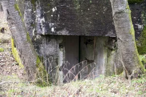 Ligne Maginot - DAMBACH EST - (Blockhaus pour arme infanterie) - 