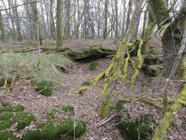 Ligne Maginot - GALGENBERG SUD - (Abri) - Les aménagements sur la crête signalés sur l'image LIDAR