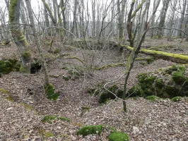 Ligne Maginot - GALGENBERG SUD - (Abri) - Les aménagements sur la crête signalés sur l'image LIDAR