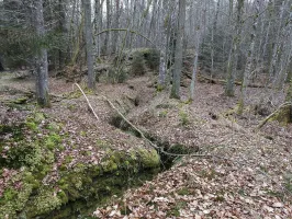 Ligne Maginot - GLASBRONN - (Casemate d'infanterie - Simple) - Le boyau taillée en zigzag permettant d'accéder à la casemate depuis la tranchée