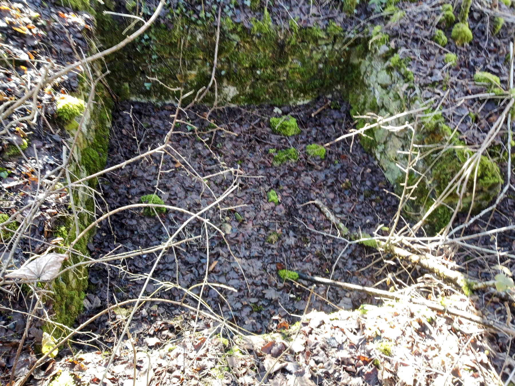 Ligne Maginot - CARRIERE DE LA FERME CHOPPEY (III/132° RIF) - (PC de Quartier) - Emplacement avec un entrée à droite donnant sur une tranchée - Marc Fossoul