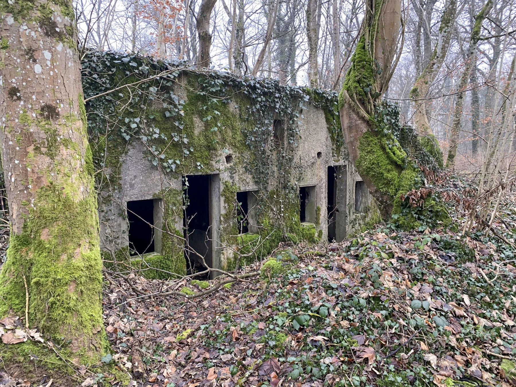 Ligne Maginot - SERROUVILLE (SOUS-SECTEUR AUMETZ - 128° RIF) - (PC de Sous-Secteur) - PC à deux alvéoles - Alexis Locatelli