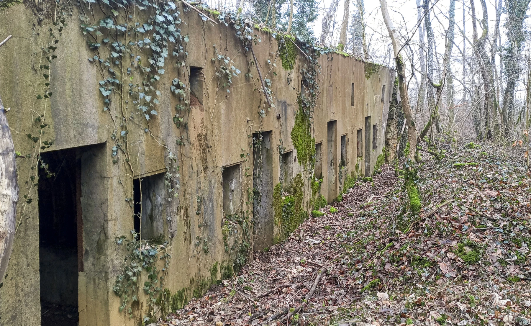 Ligne Maginot - SERROUVILLE (SOUS-SECTEUR AUMETZ - 128° RIF) - (PC de Sous-Secteur) - PC à six alvéoles - Marc Fossoul