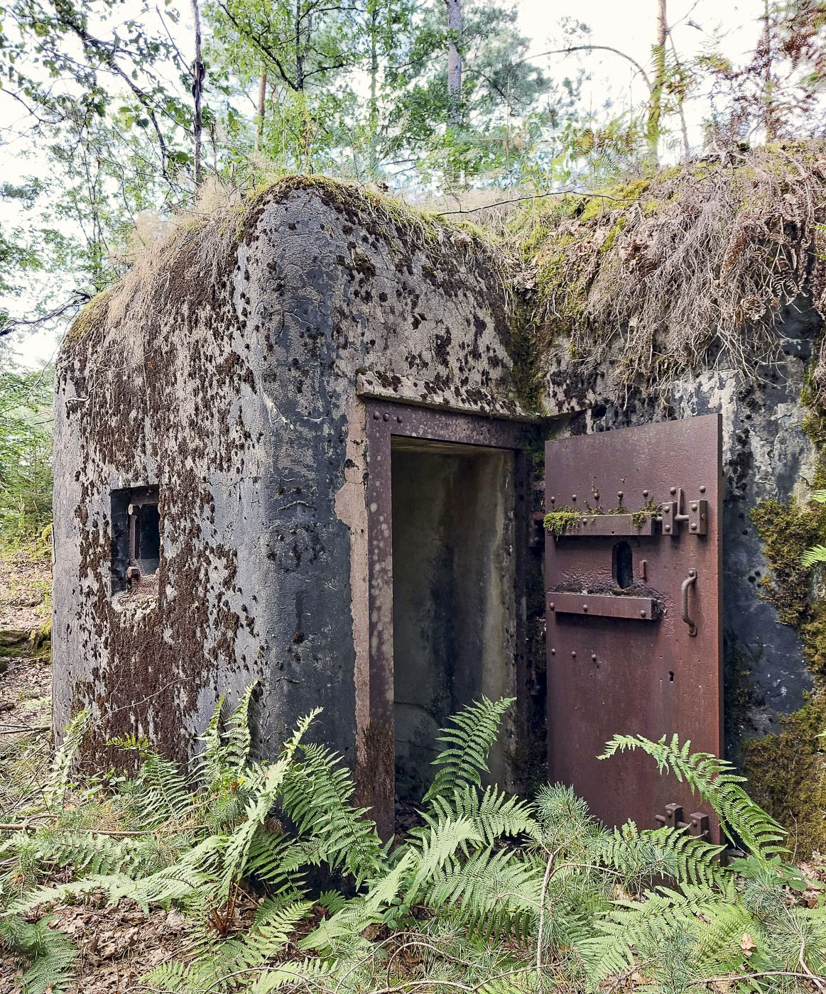 Ligne Maginot - MAIN DU PRINCE 1 - (Blockhaus pour canon) - Porte blindée extérieure de l'entrée du personnel - Gregory Fuchs