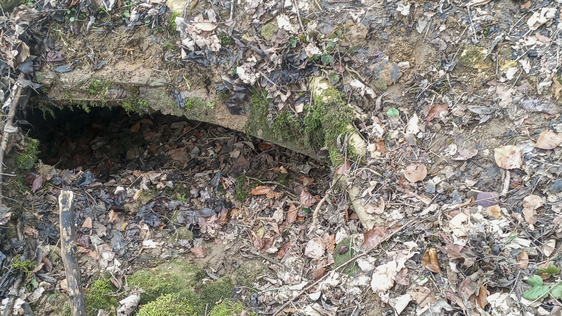 Ligne Maginot - SERROUVILLE (SOUS-SECTEUR AUMETZ - 128° RIF) - (PC de Sous-Secteur) - Abri de stockage 1 - Alexis Locatelli