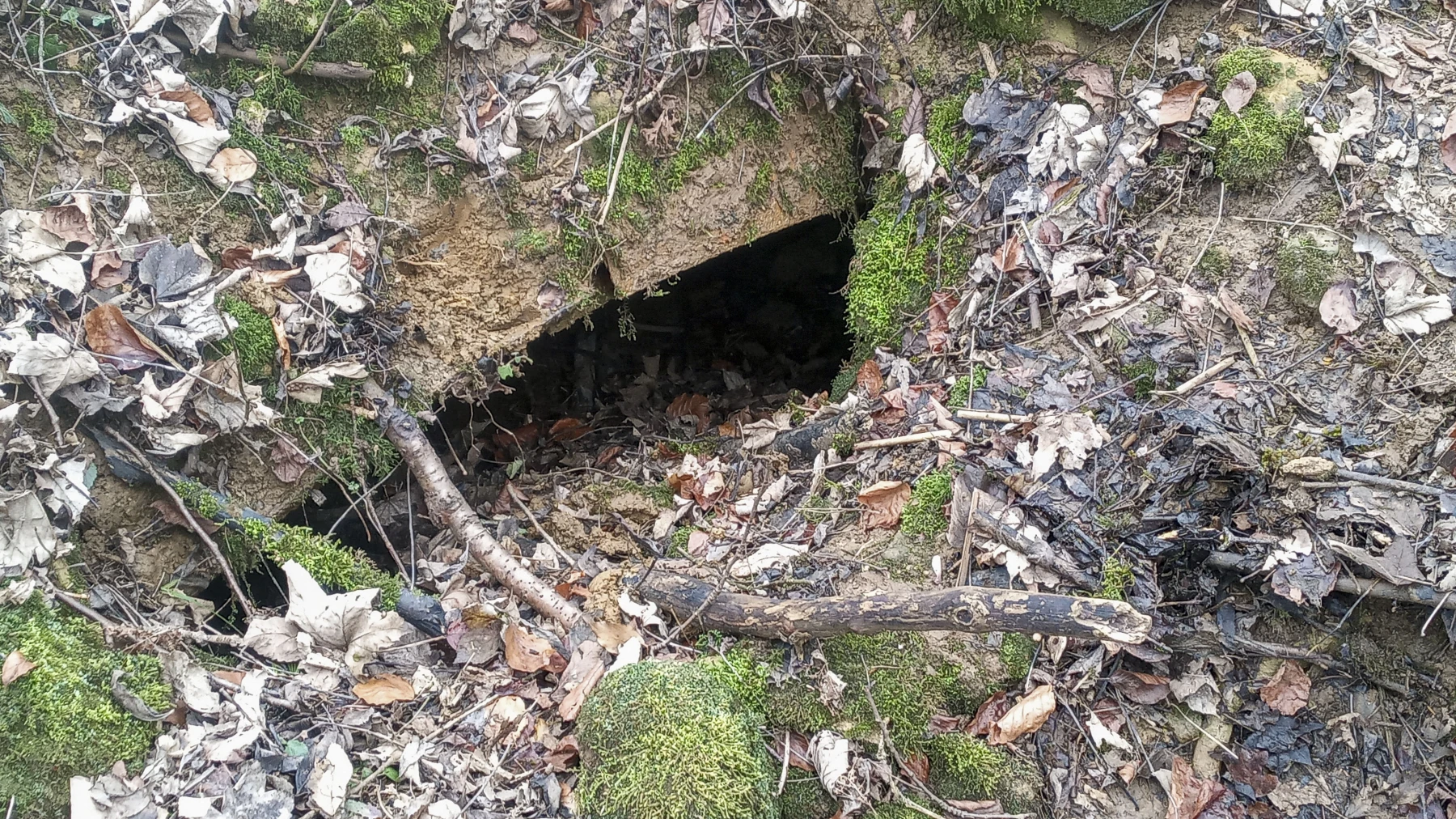 Ligne Maginot - SERROUVILLE (SOUS-SECTEUR AUMETZ - 128° RIF) - (PC de Sous-Secteur) - Abri de stockage 2 - Marc Fossoul