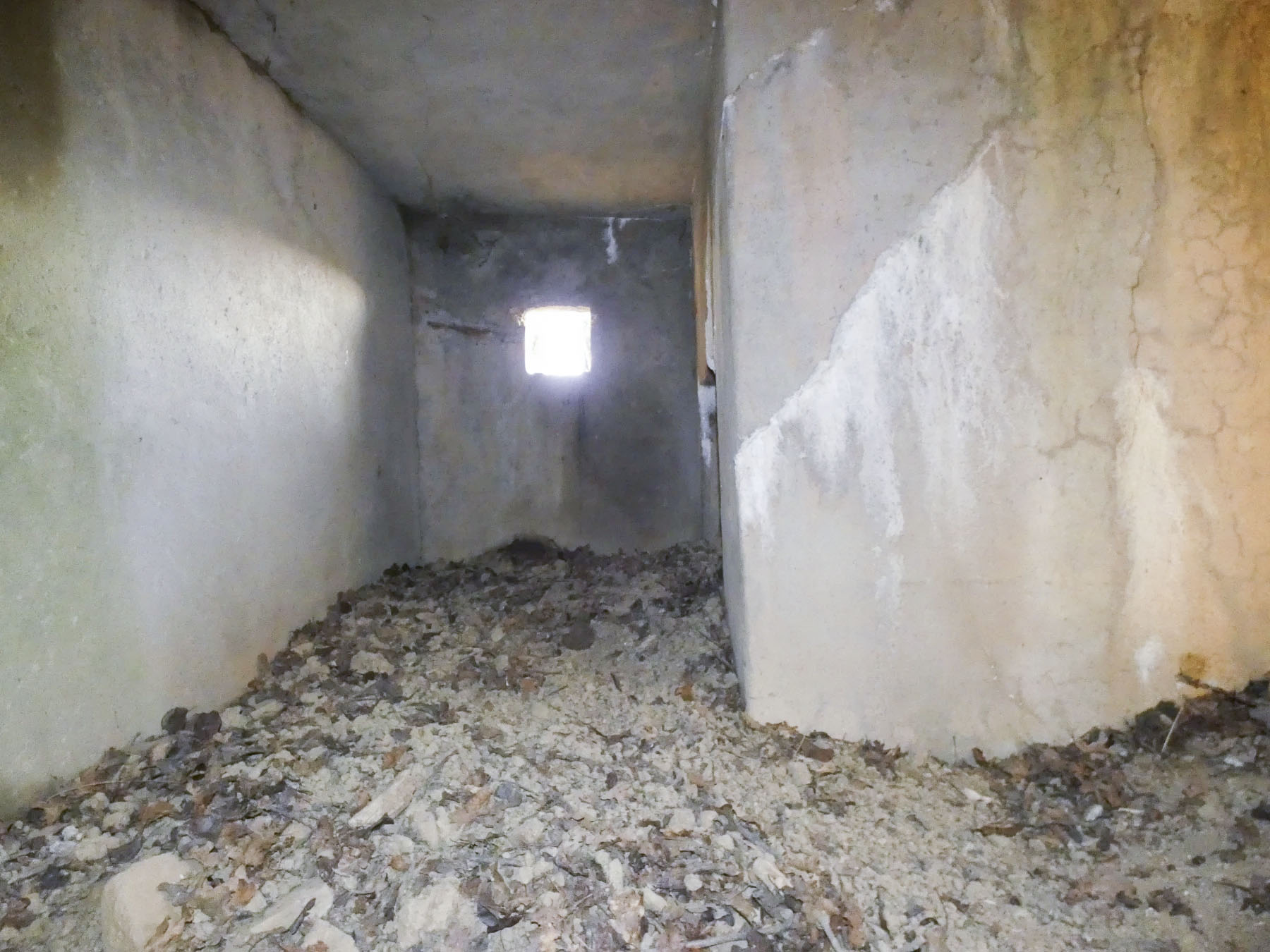 Ligne Maginot - LEGERET NORD 3 - C5-B - (Blockhaus pour canon) - La caponnière pour un FM.
L'entrée hommes est à droite. - STENGER Mathieu