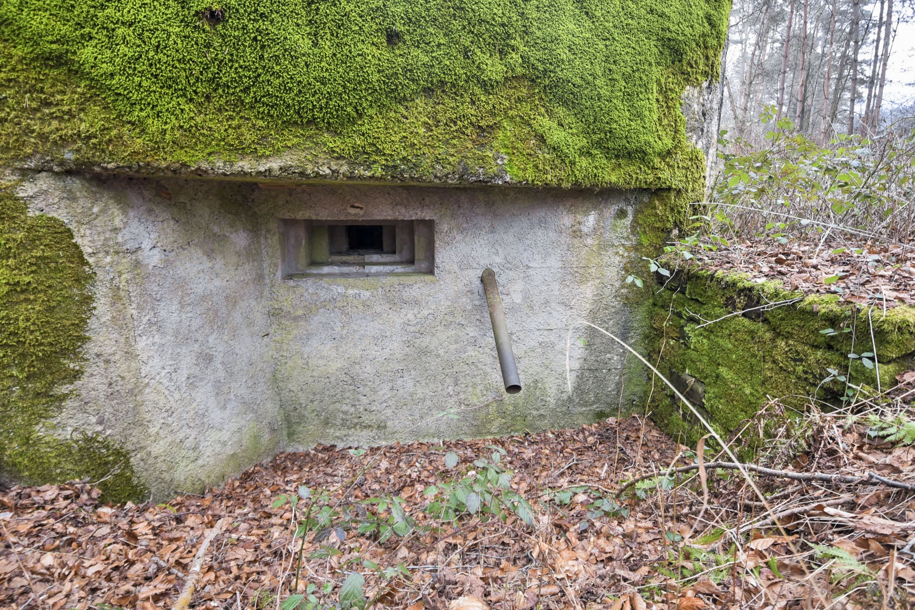 Ligne Maginot - DAMBACH EST - (Blockhaus pour arme infanterie) -  - Ludovic KNAPP