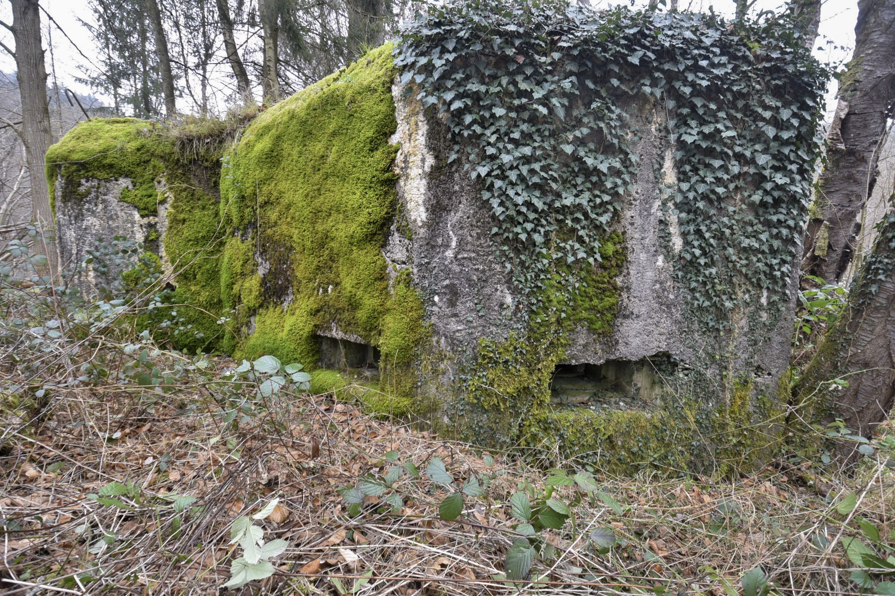 Ligne Maginot - DAMBACH EST - (Blockhaus pour arme infanterie) -  - Ludovic KNAPP