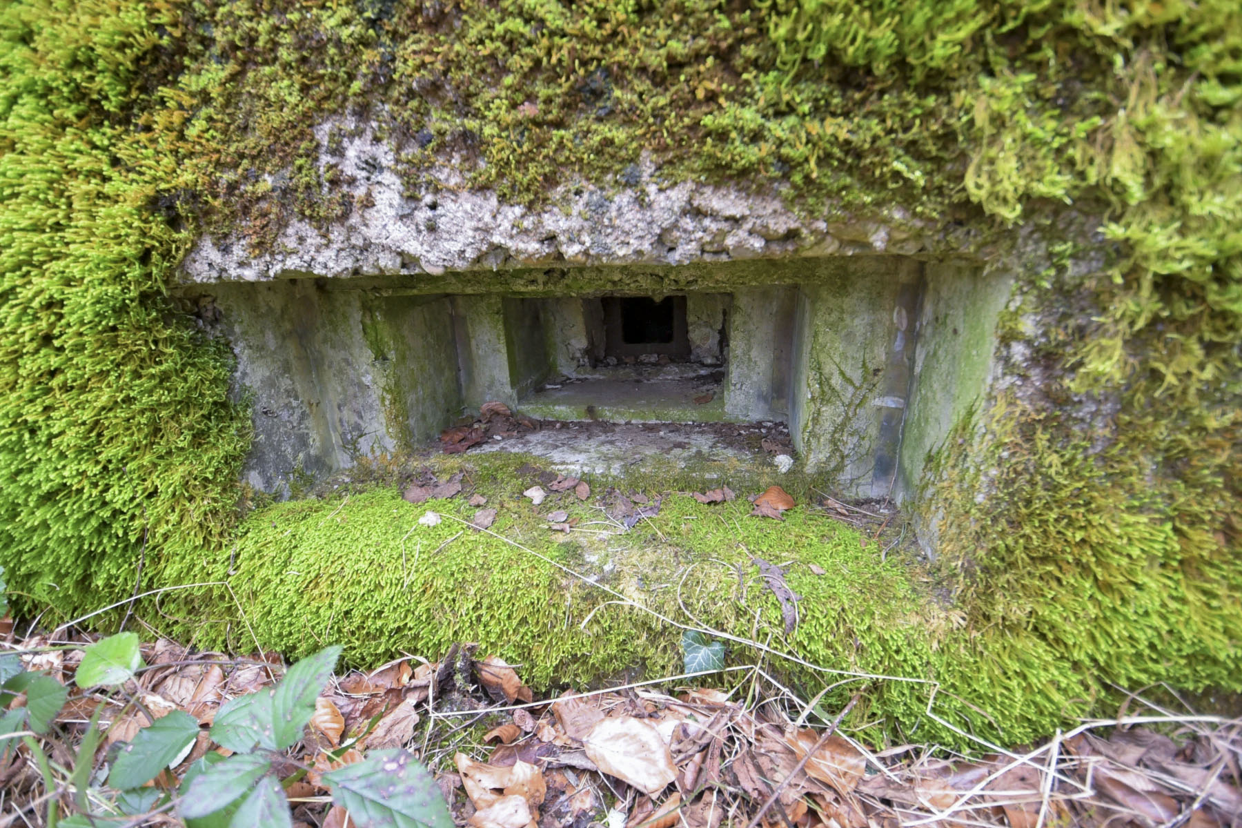 Ligne Maginot - DAMBACH EST - (Blockhaus pour arme infanterie) -  - Ludovic KNAPP