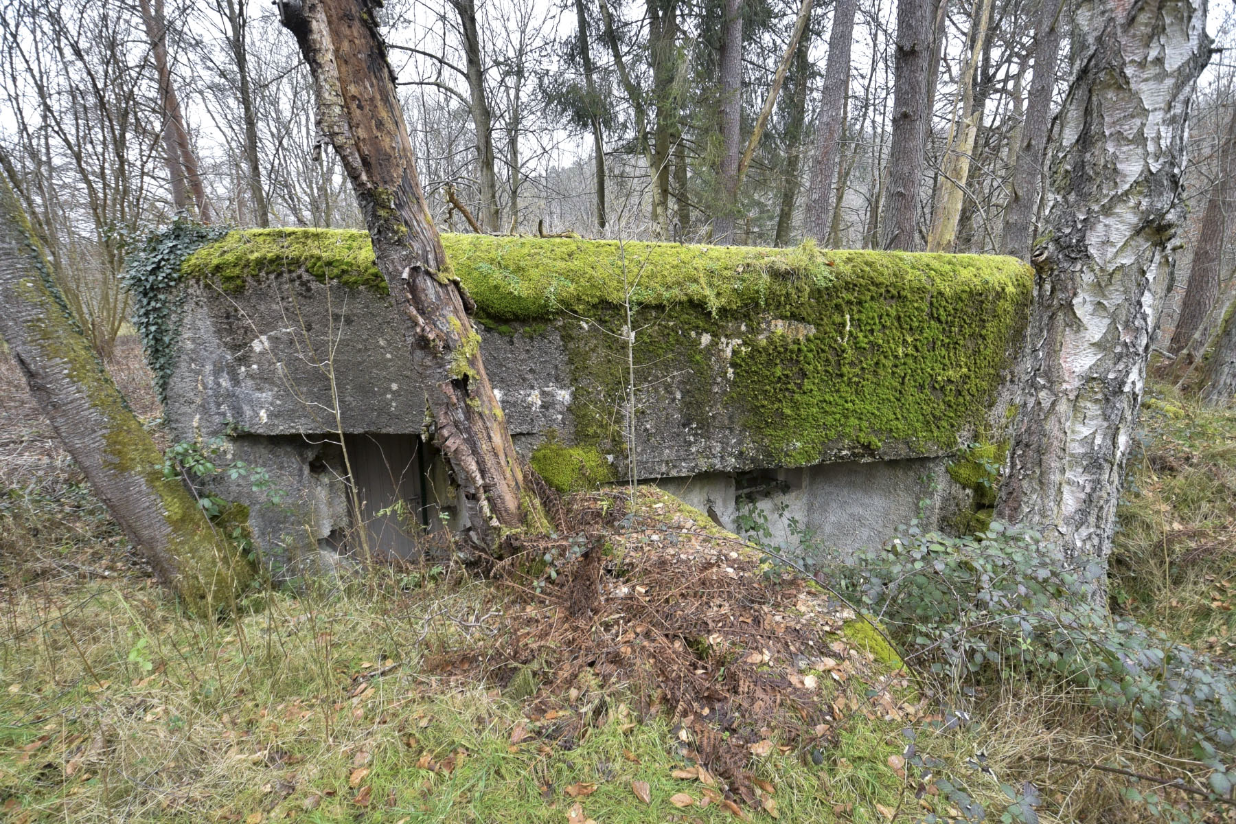 Ligne Maginot - DAMBACH EST - (Blockhaus pour arme infanterie) -  - Ludovic KNAPP