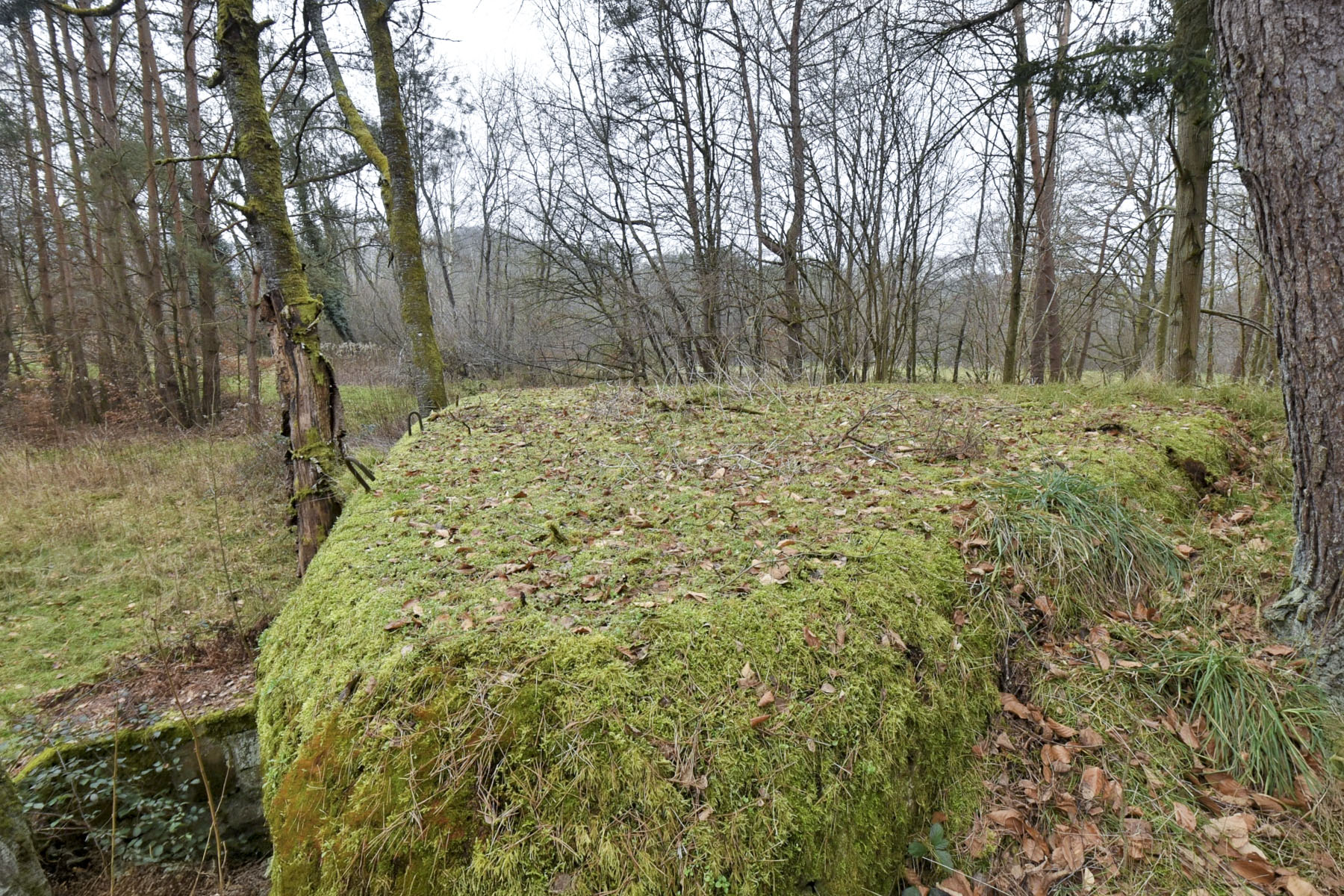Ligne Maginot - DAMBACH EST - (Blockhaus pour arme infanterie) -  - Ludovic KNAPP