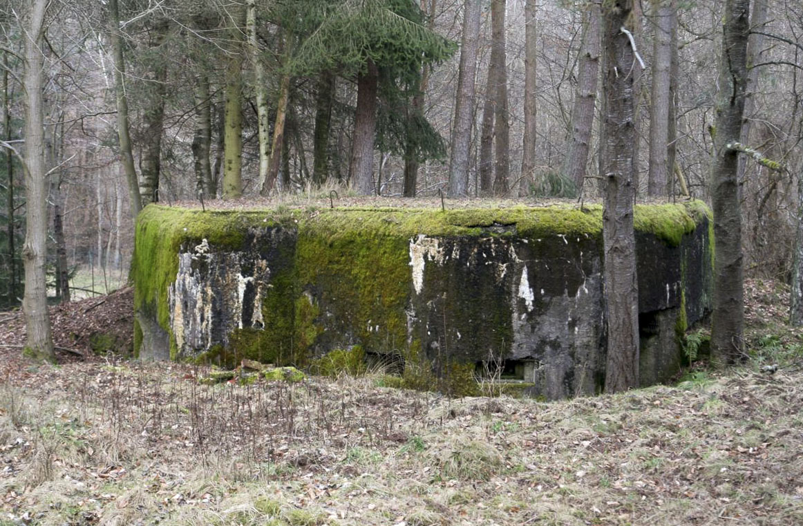 Ligne Maginot - DAMBACH EST - (Blockhaus pour arme infanterie) -  - B. Henrich
