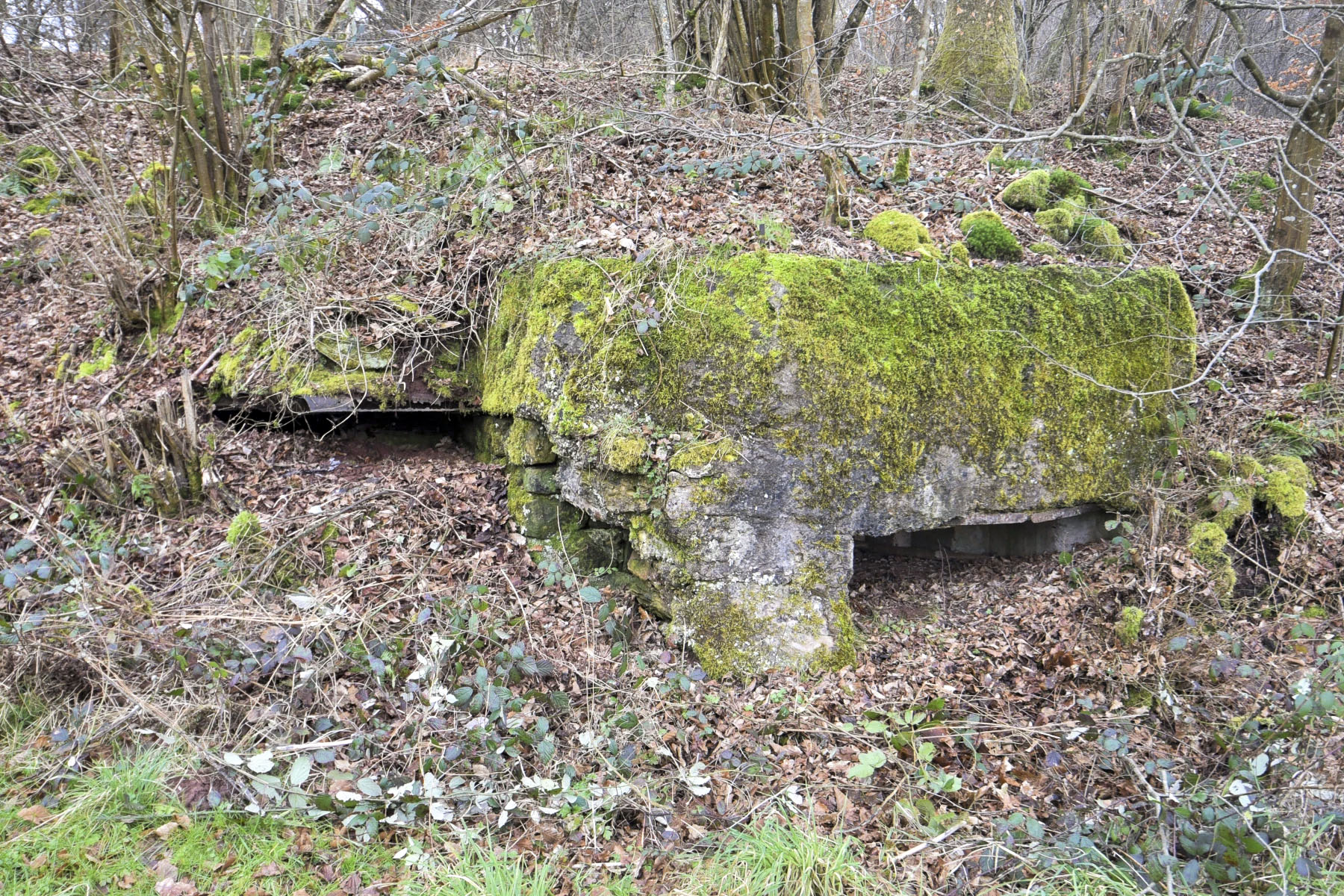Ligne Maginot - HEILLINGEN DELL - (Blockhaus pour arme infanterie) - Vue générale extérieure - Ludovic KNAPP