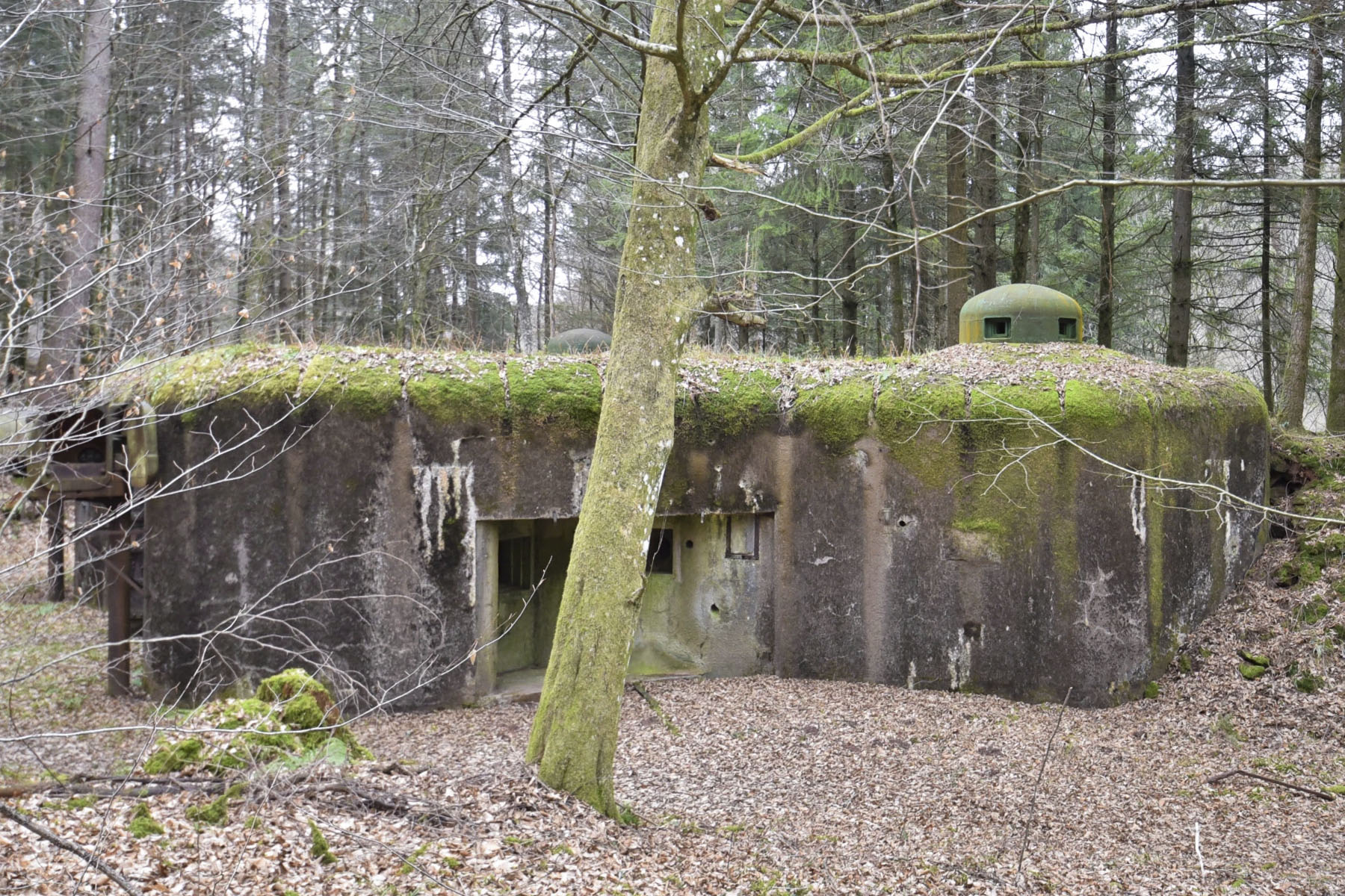 Ligne Maginot - WINECKERTHAL OUEST - (Casemate d'infanterie - Double) -  - Ludovic KNAPP