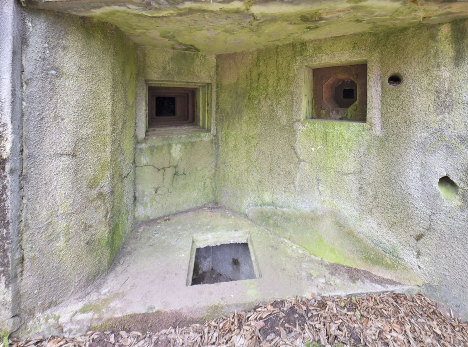 Ligne Maginot - WINECKERTHAL OUEST - (Casemate d'infanterie - Double) -  - Ludovic KNAPP