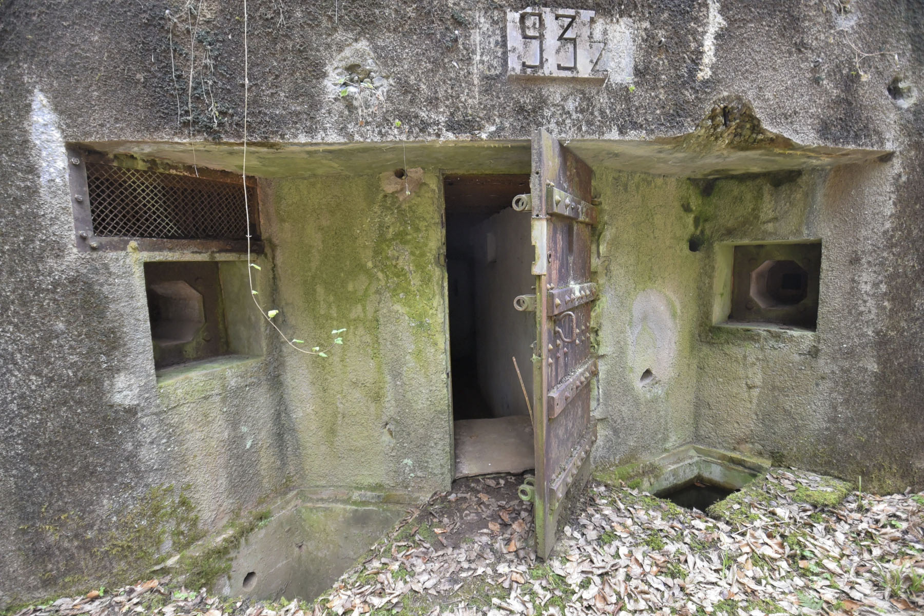 Ligne Maginot - WINECKERTHAL OUEST - (Casemate d'infanterie - Double) -  - Ludovic KNAPP
