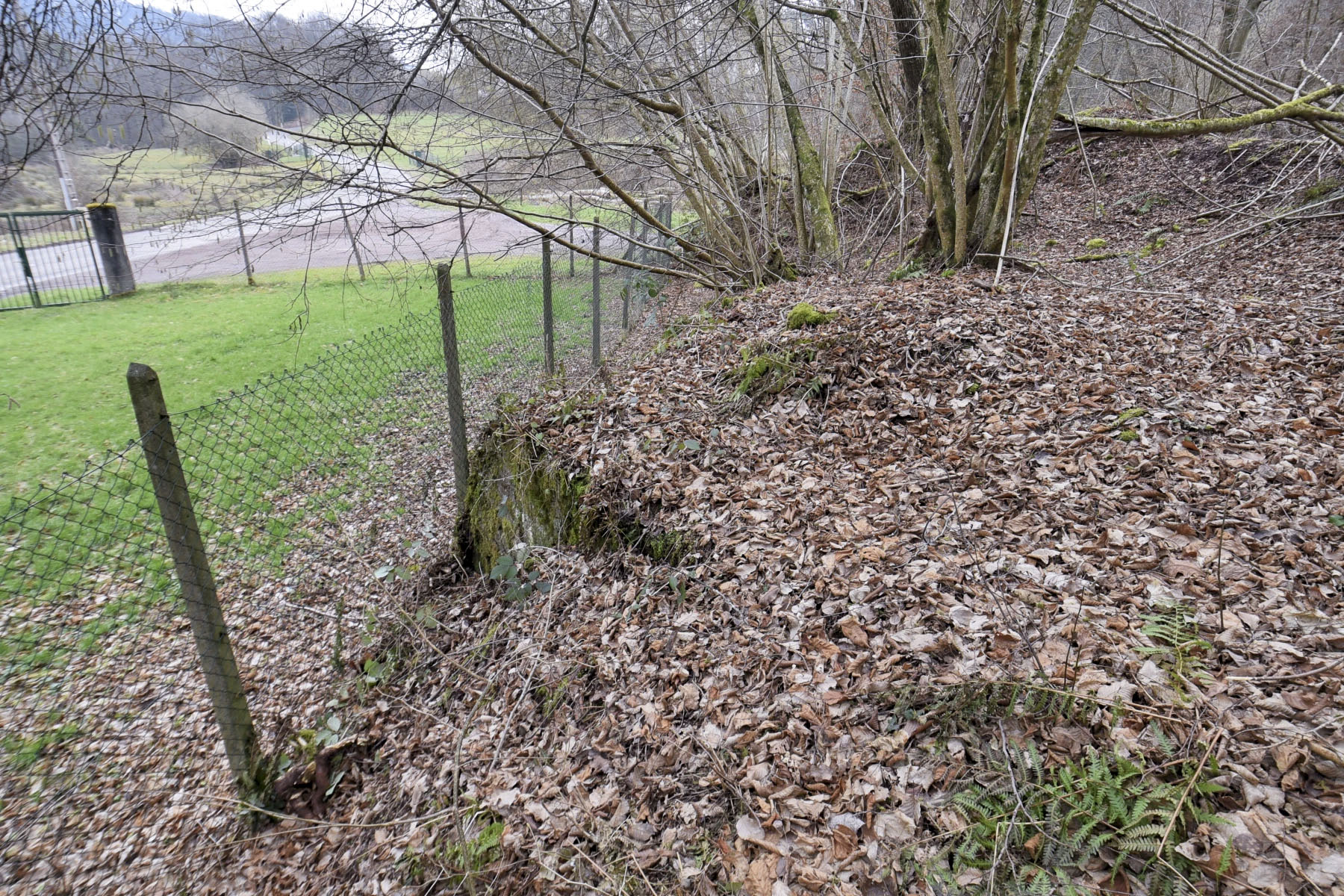 Ligne Maginot - LANGENACKER EST - (Blockhaus pour arme infanterie) -  - Ludovic KNAPP